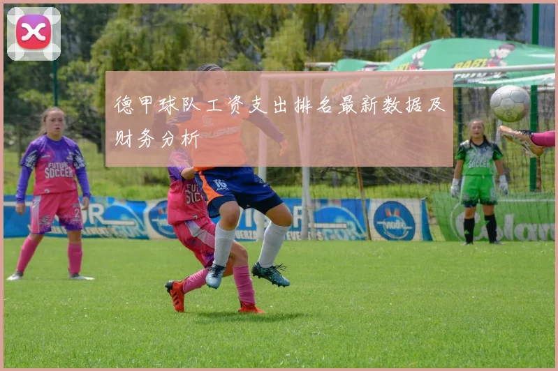 德甲球队工资支出排名最新数据及财务分析