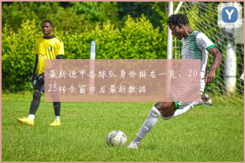 最新德甲各球队身价排名一览，2025转会窗口后最新数据