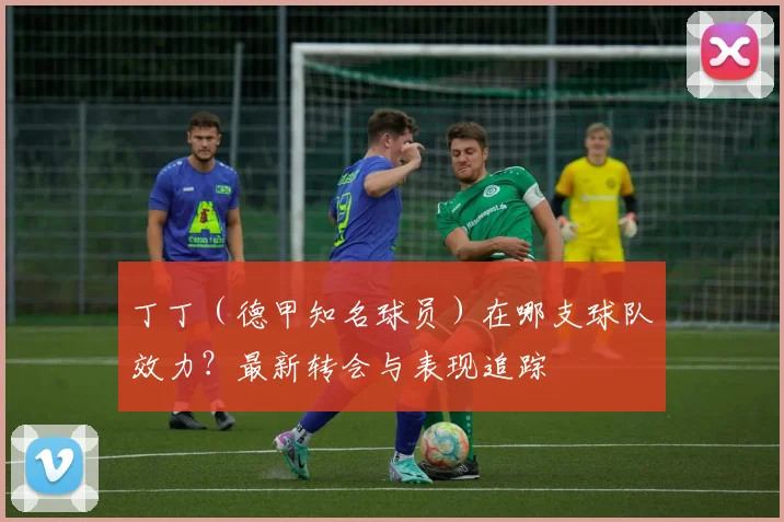 丁丁（德甲知名球员）在哪支球队效力？最新转会与表现追踪