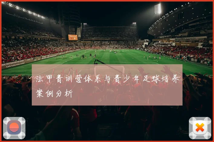 法甲青训营体系与青少年足球培养案例分析