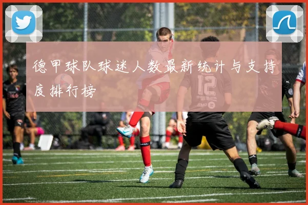 德甲球队球迷人数最新统计与支持度排行榜