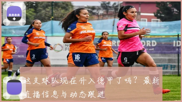 这支球队现在升入德甲了吗？最新直播信息与动态跟进