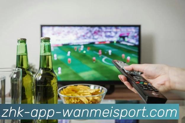 App Interface Preview