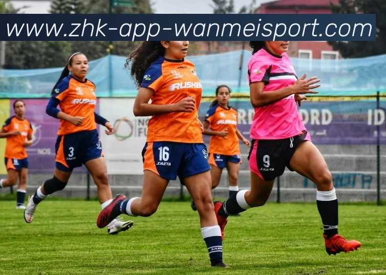 完美体育APP 封面图