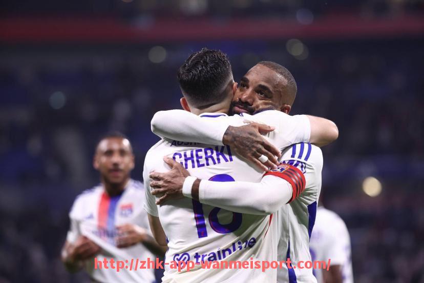 完美体育官方入口-德甲球队盈利模式图表分析，德国足球的商业逻辑剖析