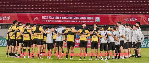 完美体育官方入口-意甲球队对德甲球队：德甲与意甲球队的比赛历史与对比