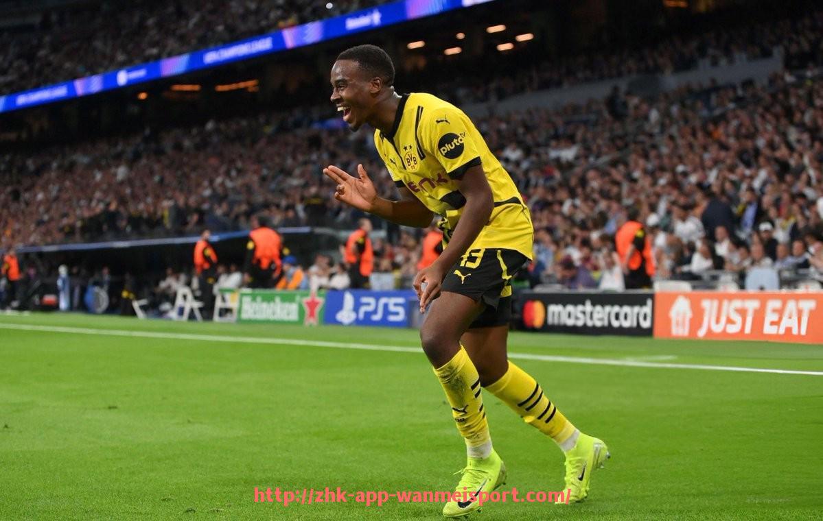 完美体育官方入口-一座德甲球队主场球场造价多少？投资与维护成本分析